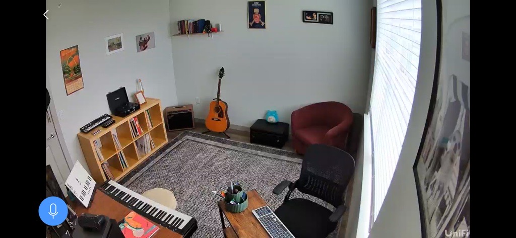 Camera monitoring view